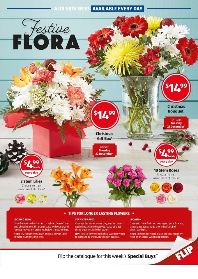 ALDI Flora Specials Catalogue 23 29 Dec 2015 Catalogue AU